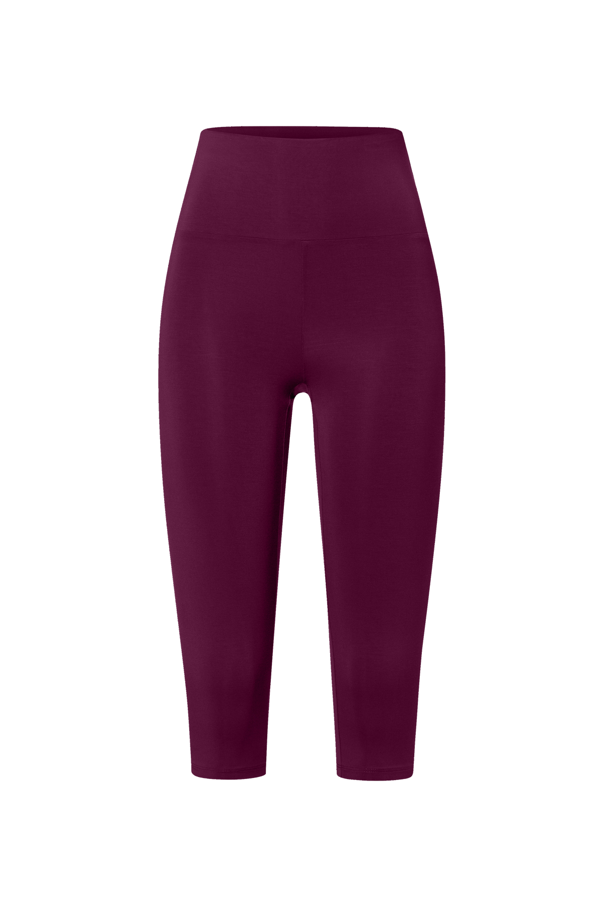 bundle-image:Fig